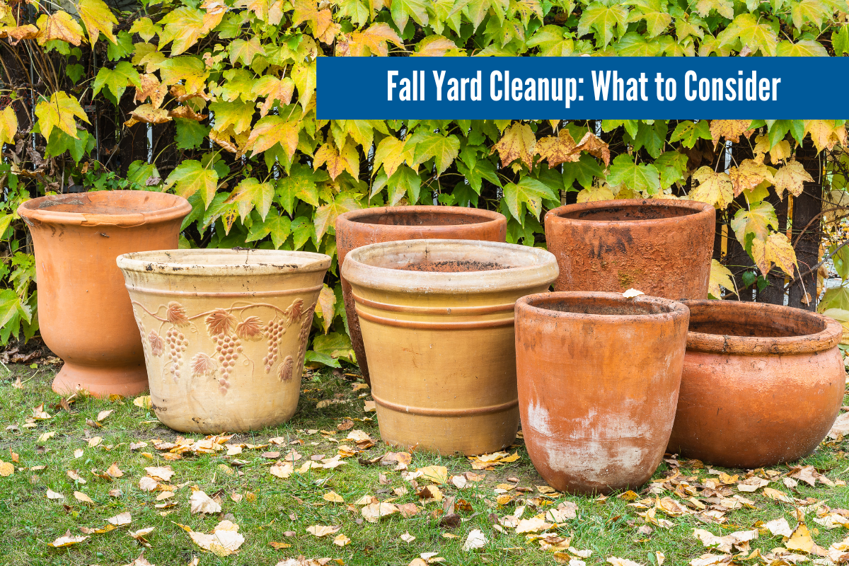 Fall Yard Cleanup: Top 7 Tips for Older Adults