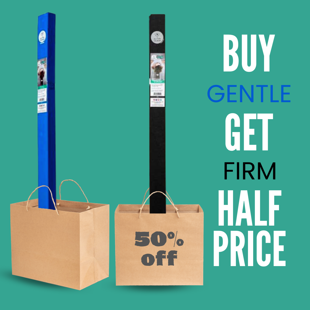 Buy Gentle Beam for back pain relief and posture correction and get the Firm Bean at half off