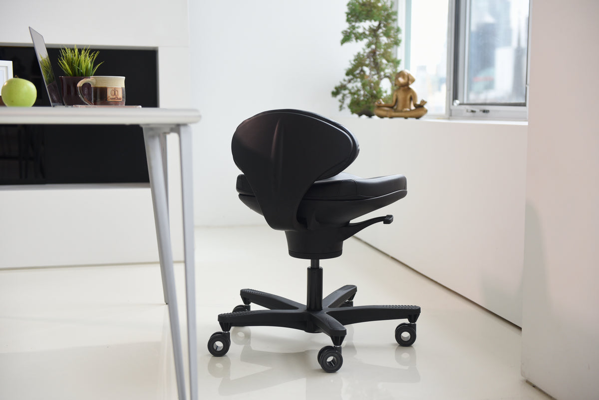 adjustable desk chair for back health, adjustable office chair for back health, NEAT certified chair, office chair meets BIFMA/ ANSI standards