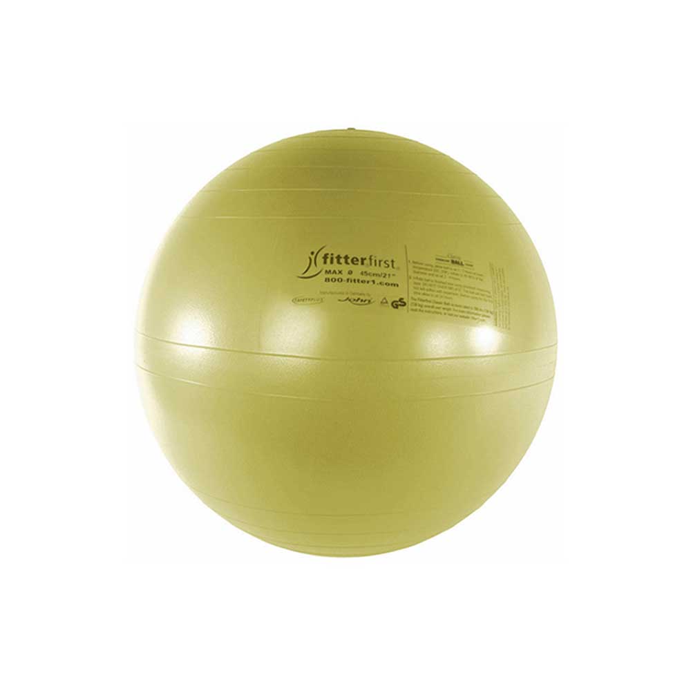 Gaiam Restore™ Strong Back Stability Ball Kit, 1 ct - King Soopers