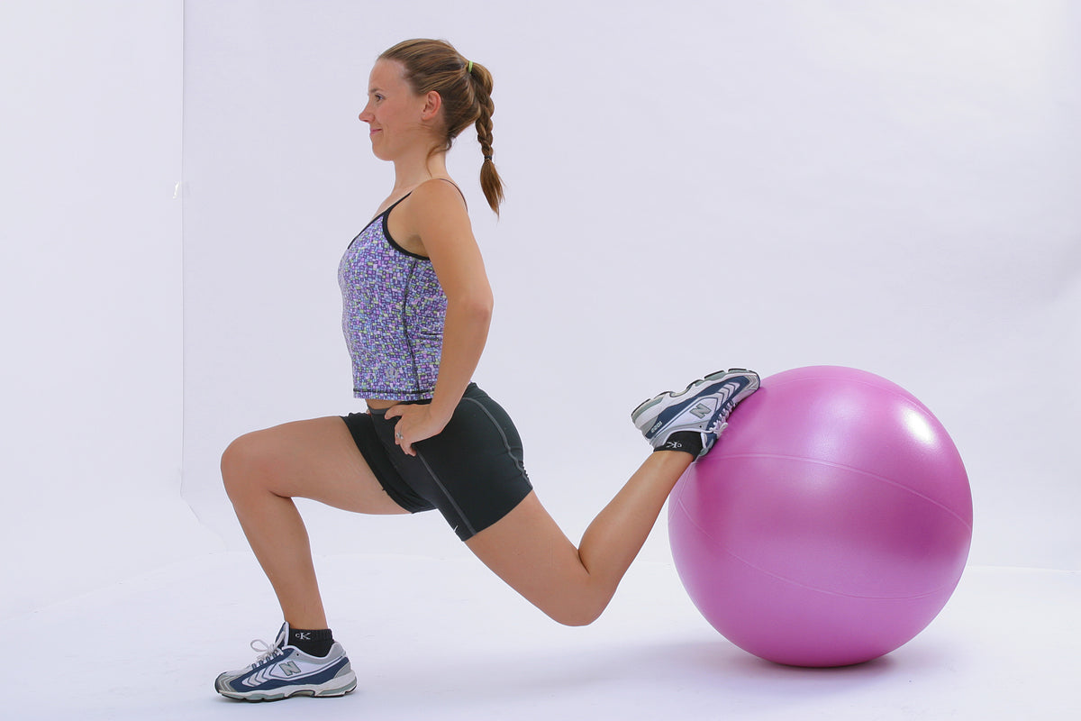 TheraGear Pro Exercise Ball - Fitterfirst Inc. Canada