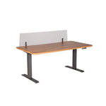 modesty panel electric standing desk 60" wide
